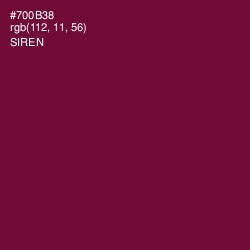 #700B38 - Siren Color Image