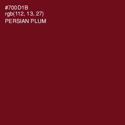 #700D1B - Persian Plum Color Image