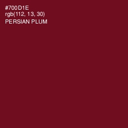 #700D1E - Persian Plum Color Image