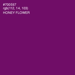 #700E67 - Honey Flower Color Image