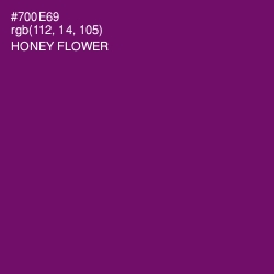 #700E69 - Honey Flower Color Image