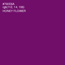 #700E6A - Honey Flower Color Image