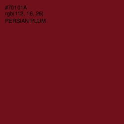 #70101A - Persian Plum Color Image