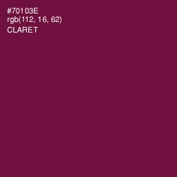 #70103E - Claret Color Image