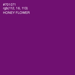 #701071 - Honey Flower Color Image