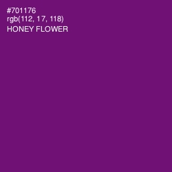 #701176 - Honey Flower Color Image