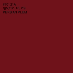 #70121A - Persian Plum Color Image