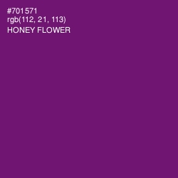 #701571 - Honey Flower Color Image