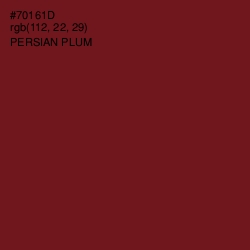 #70161D - Persian Plum Color Image