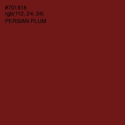 #701818 - Persian Plum Color Image