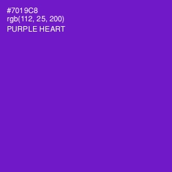 #7019C8 - Purple Heart Color Image