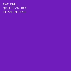 #701CBD - Royal Purple Color Image