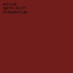 #701D1B - Persian Plum Color Image