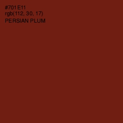 #701E11 - Persian Plum Color Image