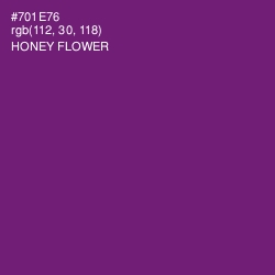 #701E76 - Honey Flower Color Image