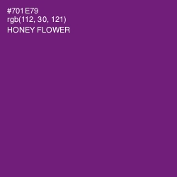 #701E79 - Honey Flower Color Image