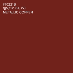 #70221B - Metallic Copper Color Image
