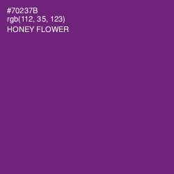 #70237B - Honey Flower Color Image