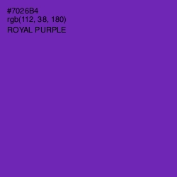 #7026B4 - Royal Purple Color Image