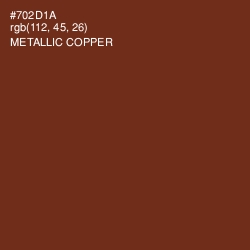 #702D1A - Metallic Copper Color Image