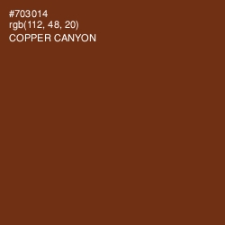 #703014 - Copper Canyon Color Image