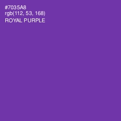 #7035A8 - Royal Purple Color Image