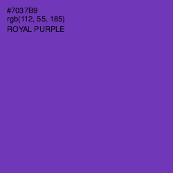 #7037B9 - Royal Purple Color Image