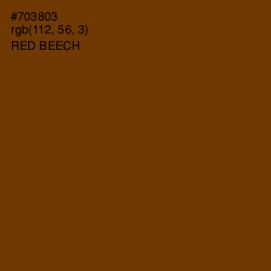 #703803 - Red Beech Color Image