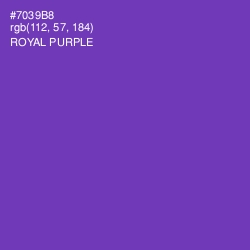 #7039B8 - Royal Purple Color Image