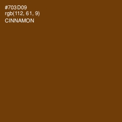 #703D09 - Cinnamon Color Image