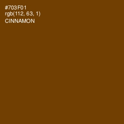 #703F01 - Cinnamon Color Image