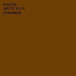 #703F06 - Cinnamon Color Image