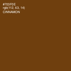 #703F0E - Cinnamon Color Image