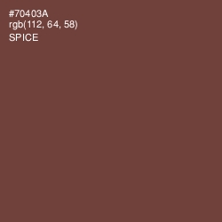 #70403A - Spice Color Image