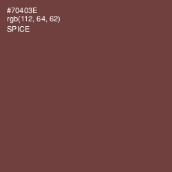 #70403E - Spice Color Image