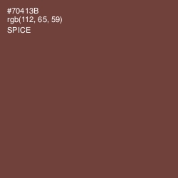 #70413B - Spice Color Image