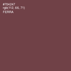 #704247 - Ferra Color Image