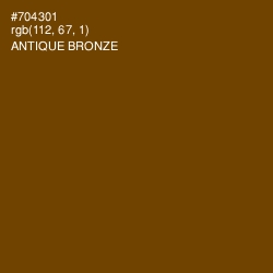 #704301 - Antique Bronze Color Image