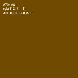 #704A01 - Antique Bronze Color Image