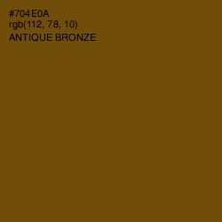 #704E0A - Antique Bronze Color Image