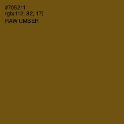 #705211 - Raw Umber Color Image