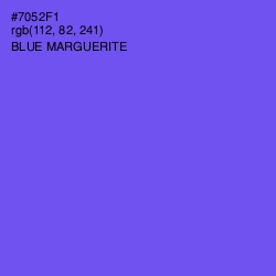 #7052F1 - Blue Marguerite Color Image