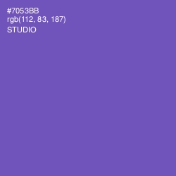 #7053BB - Studio Color Image