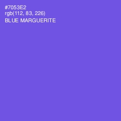 #7053E2 - Blue Marguerite Color Image