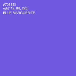 #7058E1 - Blue Marguerite Color Image