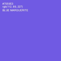 #7059E3 - Blue Marguerite Color Image