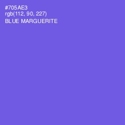 #705AE3 - Blue Marguerite Color Image