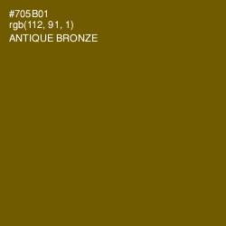 #705B01 - Antique Bronze Color Image
