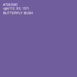 #705D9D - Butterfly Bush Color Image