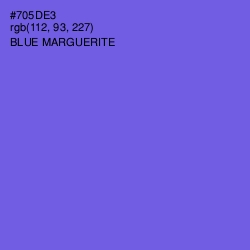 #705DE3 - Blue Marguerite Color Image